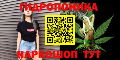 гашик Бийск