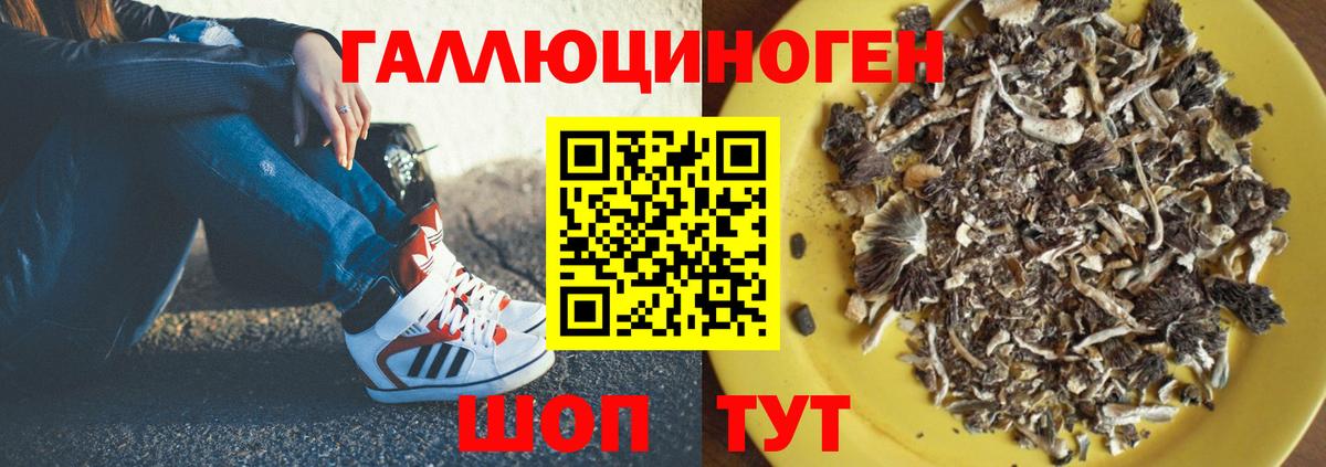 Псилоцибиновые грибы Psilocybe  наркотики  Камень-на-Оби  Вход с VPN 